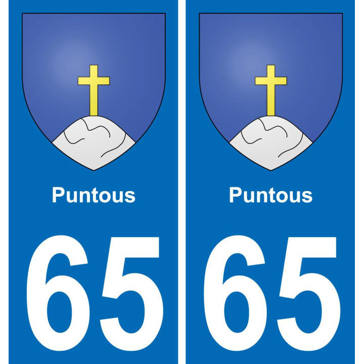65 Puntous placa etiqueta de registro de la ciudad
