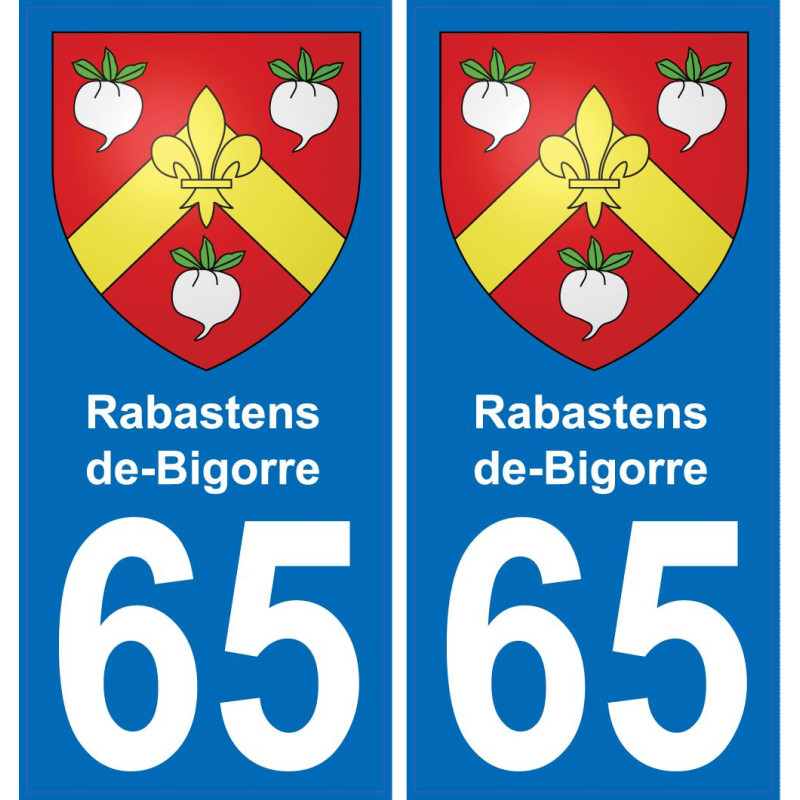 65 Rabastens-de-Bigorre placa etiqueta de registro de la ciudad