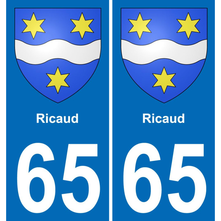 65 Ricaud placa etiqueta de registro de la ciudad