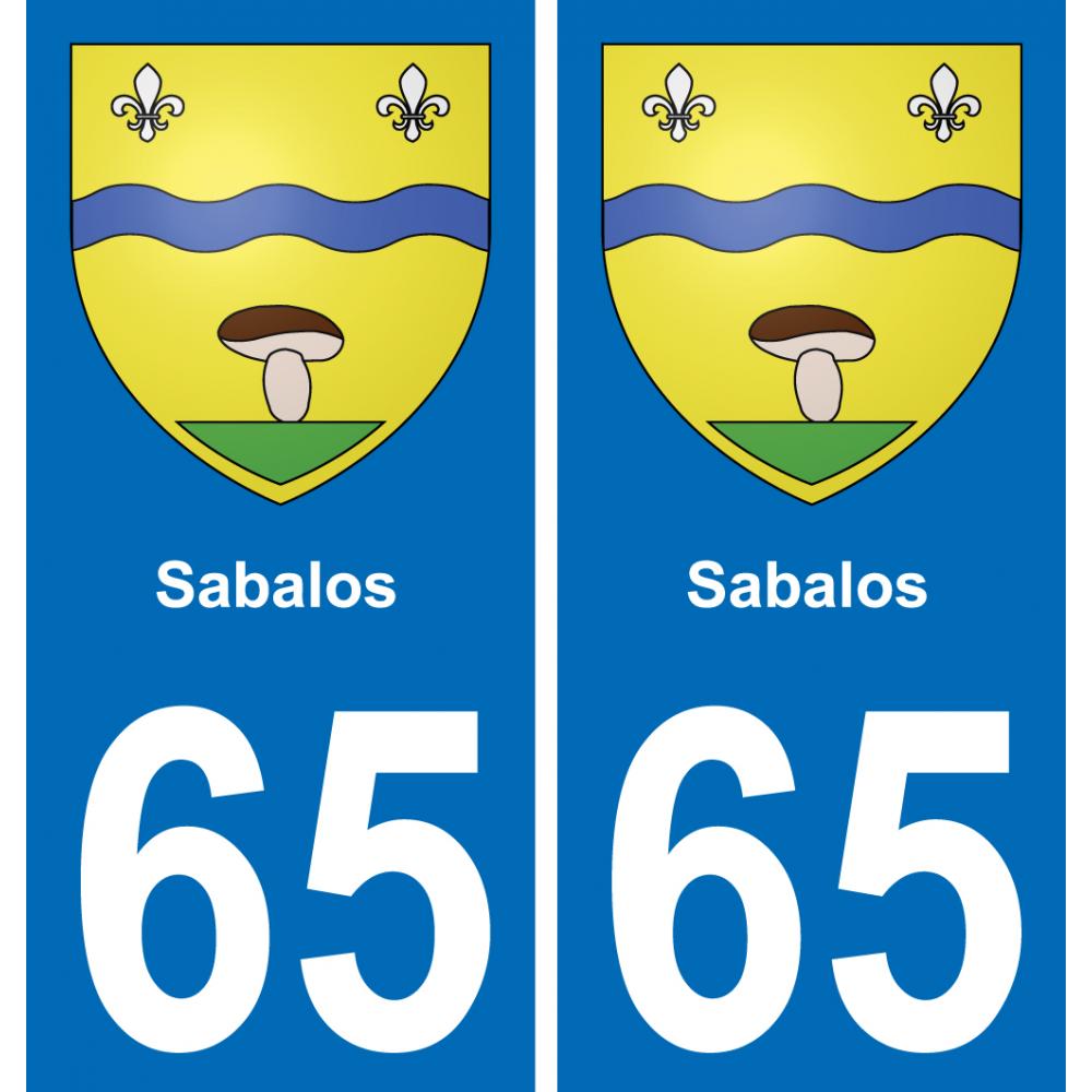 65 Pau autocollant sticker plaque immatriculation auto ville