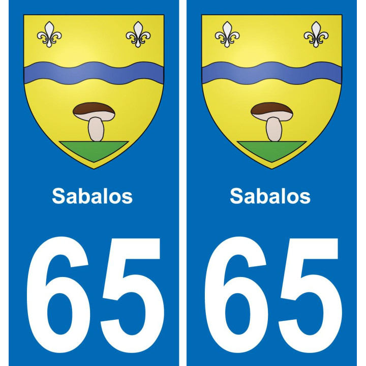 65 Sabalos placa etiqueta de registro de la ciudad