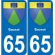 65 Pau autocollant sticker plaque immatriculation auto ville