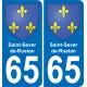 65 Pau autocollant sticker plaque immatriculation auto ville