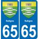 65 Saligos autocollant sticker plaque immatriculation auto ville