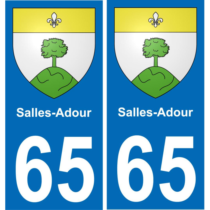 65 Salles-Adour autocollant sticker plaque immatriculation auto ville