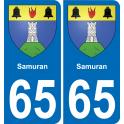 65 Pau autocollant sticker plaque immatriculation auto ville