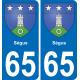 65 Pau autocollant sticker plaque immatriculation auto ville