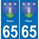 65 Pau autocollant sticker plaque immatriculation auto ville