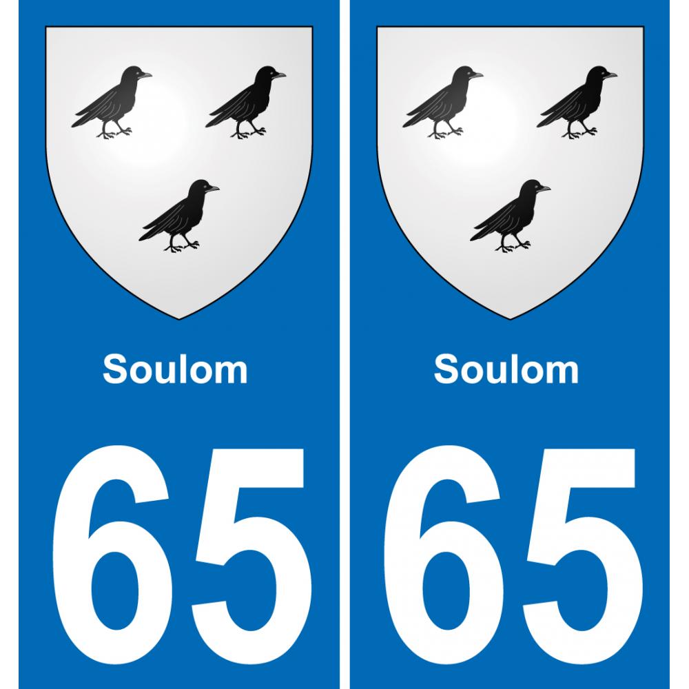 65 Pau autocollant sticker plaque immatriculation auto ville