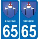 65 Souyeaux adesivo piastra di registrazione city