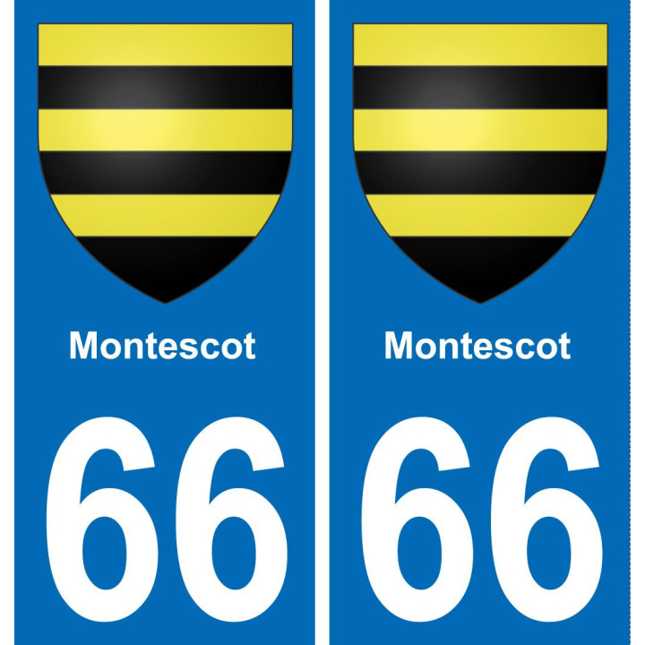 66 Montescot sticker plate registration city