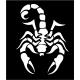 Scorpion autocollant sticker adhésif 