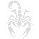 Scorpion autocollant sticker adhésif 