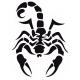 Scorpion autocollant sticker adhésif 