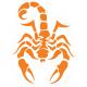 Scorpion autocollant sticker adhésif 