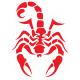 Scorpion autocollant sticker adhésif 