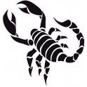 Scorpion autocollant sticker adhésif logo 3