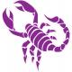 Scorpion autocollant sticker adhésif logo 3