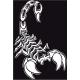 Scorpion autocollant sticker adhésif logo 2