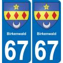 67 Birkenwald placa etiqueta de registro de la ciudad