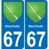 67 Bischholtz sticker plate registration city