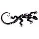 Salamandre breton triskèle symbole détail bretagne breizh transparent autocollant sticker adhésif logo 56