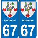 67 Dieffenthal sticker plate registration city