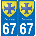 67 Flexbourg-aufkleber plakette ez stadt