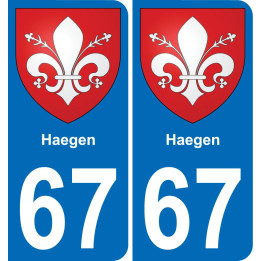 67 Haegen autocollant sticker plaque immatriculation auto ville