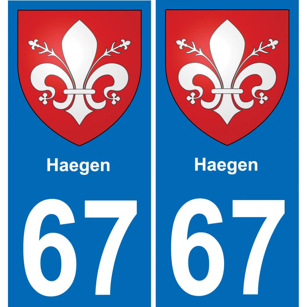 67 Haegen adesivo piastra di registrazione city