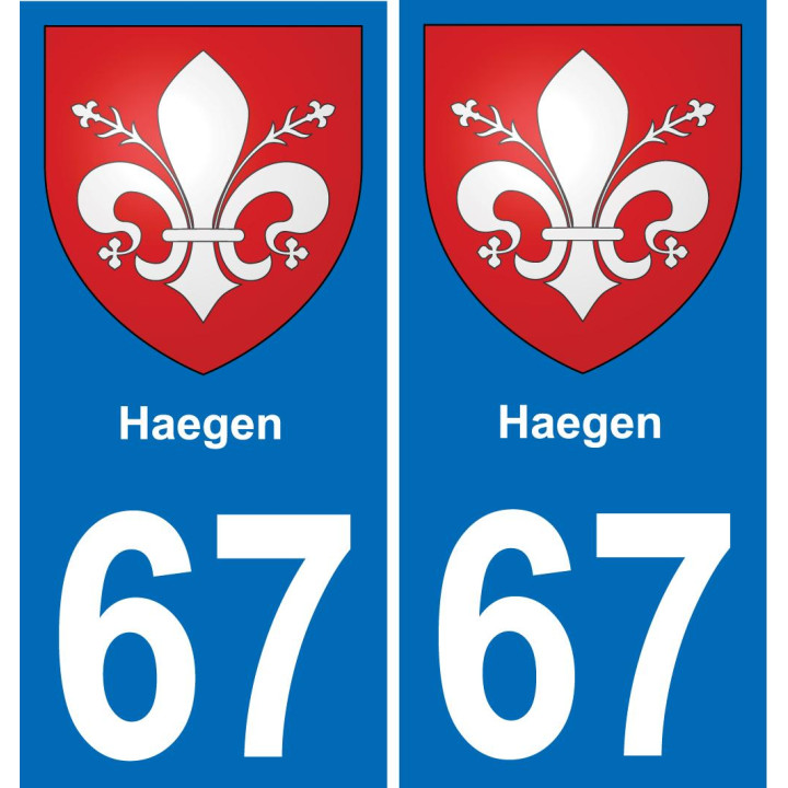 67 Haegen autocollant sticker plaque immatriculation auto ville