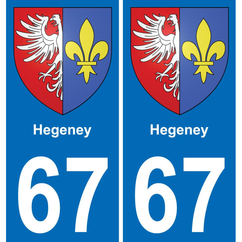 67 Hegeney placa etiqueta de registro de la ciudad