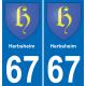 64 Pau autocollant sticker plaque immatriculation auto ville