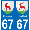 67 Hirschland adesivo piastra di registrazione city
