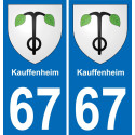 64 Pau autocollant sticker plaque immatriculation auto ville
