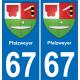 67 Pfalzweyer placa etiqueta de registro de la ciudad
