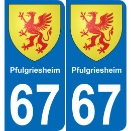 67 Pfulgriesheim placa etiqueta de registro de la ciudad