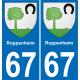 64 Pau autocollant sticker plaque immatriculation auto ville