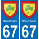 67 Saasenheim placa etiqueta de registro de la ciudad