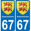 67 Saessolsheim placa etiqueta de registro de la ciudad