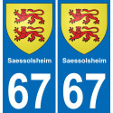 67 Saessolsheim placa etiqueta de registro de la ciudad