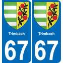 67 Trimbach placa etiqueta de registro de la ciudad