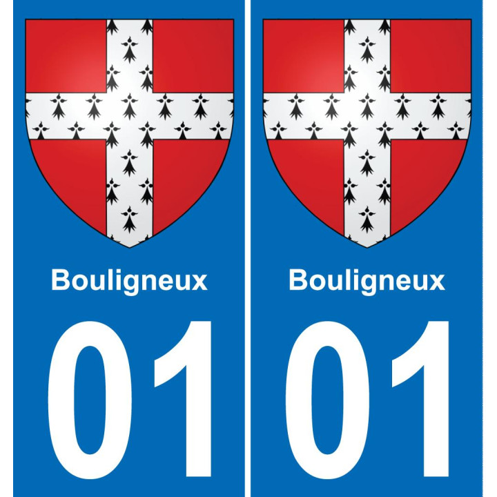 01 Bouligneux placa etiqueta de registro de la ciudad