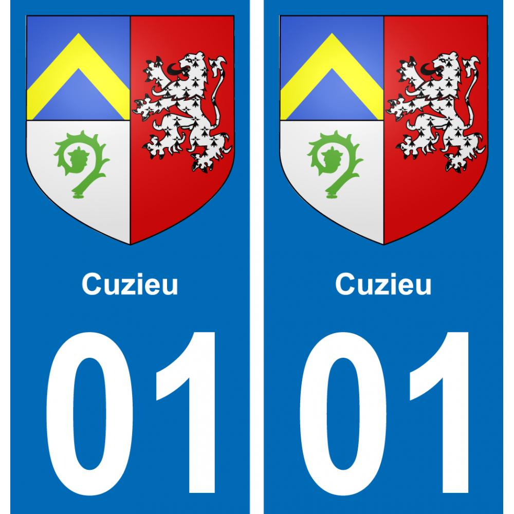 01 Pau autocollant sticker plaque immatriculation auto ville