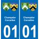 01 Pau autocollant sticker plaque immatriculation auto ville