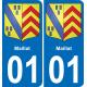 01 Pau autocollant sticker plaque immatriculation auto ville