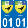 01 Pizay adesivo piastra di registrazione city