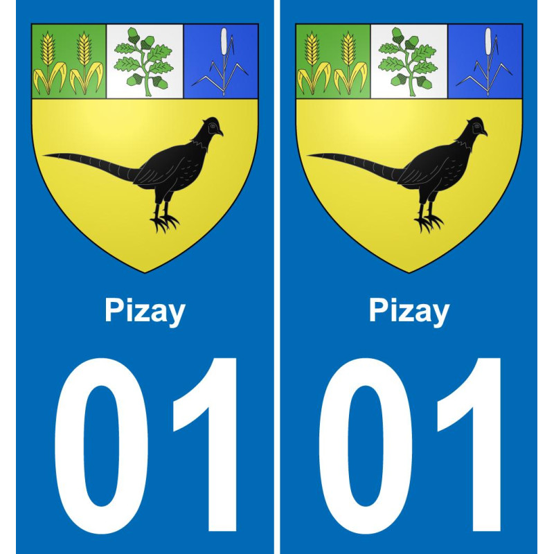 01 Pizay placa etiqueta de registro de la ciudad