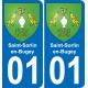01 Saint-Sorlin-en-Bugey autocollant sticker plaque immatriculation auto ville