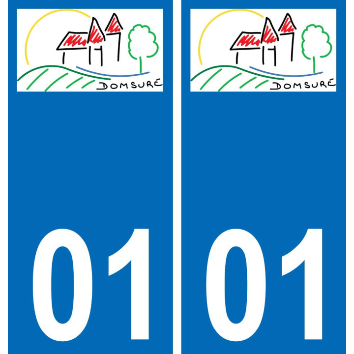 01 Domsure logotipo de la etiqueta engomada de la placa de registro de la ciudad